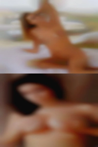 Sex swinger clubs in Pinellas Park.